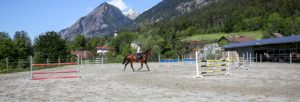 Hotel mit Pferd Reitplatz