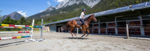 Hotel mit Pferd Reitplatz 2