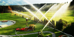 DSC09492_freieTrauung_Feuerwehr