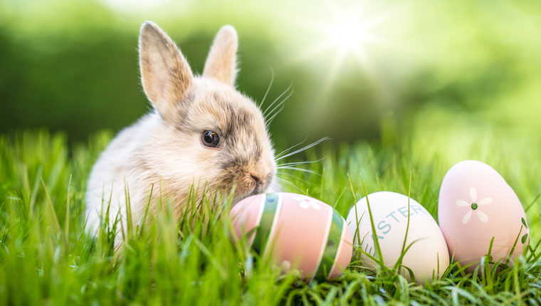 Der Speckbacher Hof wünscht Ihnen Frohe Ostern!